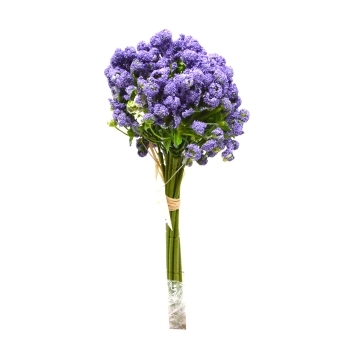 Buchet 10 fire achillea mov