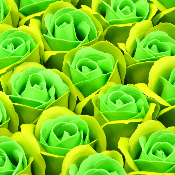 Set 50 trandafiri sapun parfumati, atingere reala, DUO, verde kiwi-verde